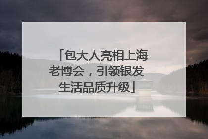 包大人亮相上海老博会，引领银发生活品质升级