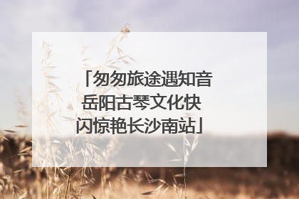 匆匆旅途遇知音 岳阳古琴文化快闪惊艳长沙南站