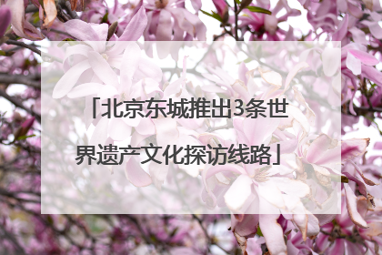 北京东城推出3条世界遗产文化探访线路