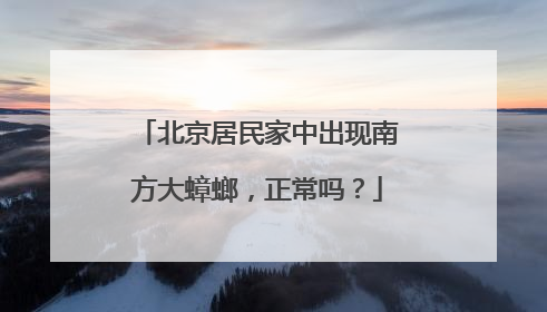 北京居民家中出现南方大蟑螂，正常吗？