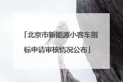 北京市新能源小客车指标申请审核情况公布