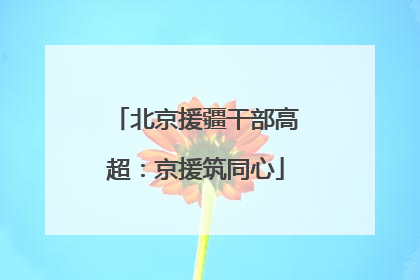 北京援疆干部高超：京援筑同心