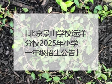 北京景山学校远洋分校2025年小学一年级招生公告