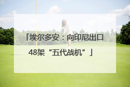 埃尔多安：向印尼出口48架“五代战机”