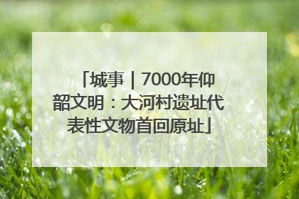 城事｜7000年仰韶文明：大河村遗址代表性文物首回原址