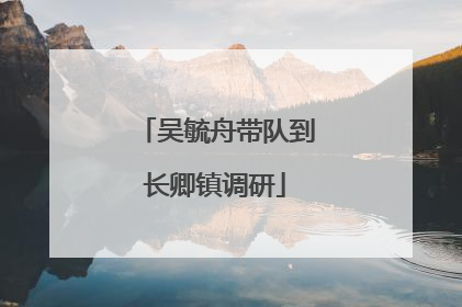 吴毓舟带队到长卿镇调研
