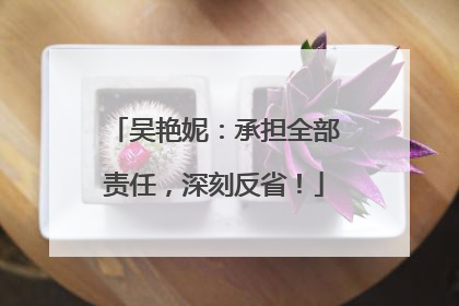 吴艳妮：承担全部责任，深刻反省！