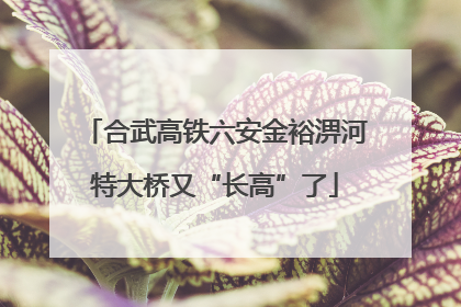 合武高铁六安金裕淠河特大桥又“长高”了