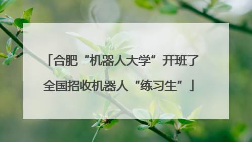 合肥“机器人大学”开班了 全国招收机器人“练习生”