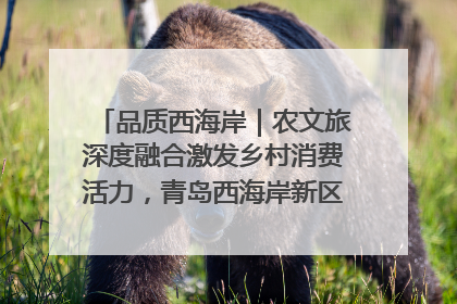 品质西海岸｜农文旅深度融合激发乡村消费活力，青岛西海岸新区的乡村振兴实践
