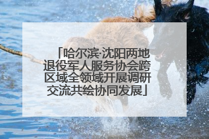 哈尔滨·沈阳两地退役军人服务协会跨区域全领域开展调研交流共绘协同发展