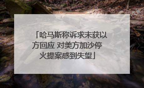 哈马斯称诉求未获以方回应 对美方加沙停火提案感到失望