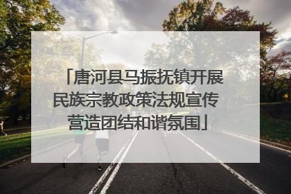 唐河县马振抚镇开展民族宗教政策法规宣传 营造团结和谐氛围