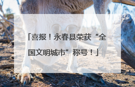 喜报！永春县荣获“全国文明城市”称号！