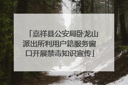 嘉祥县公安局卧龙山派出所利用户籍服务窗口开展禁毒知识宣传