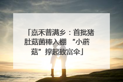 嘉禾普满乡：首批猪肚菇菌棒入棚 “小蘑菇”撑起致富伞