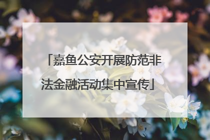 嘉鱼公安开展防范非法金融活动集中宣传