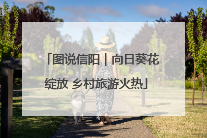 图说信阳｜向日葵花绽放 乡村旅游火热
