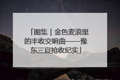 图集｜金色麦浪里的丰收交响曲——豫东三夏抢收纪实