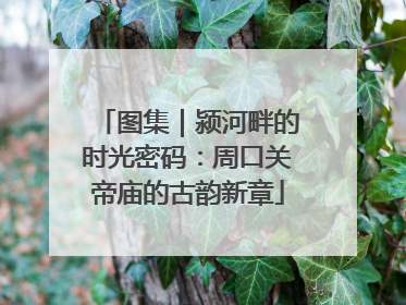 图集｜颍河畔的时光密码：周口关帝庙的古韵新章