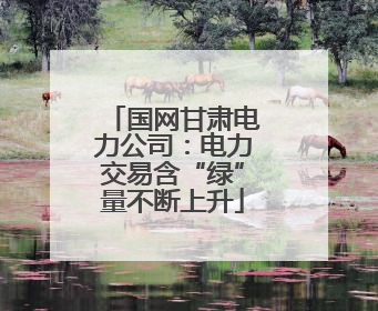 国网甘肃电力公司：电力交易含“绿”量不断上升