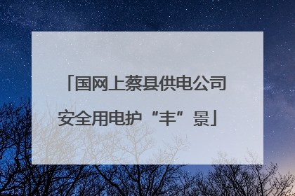 国网上蔡县供电公司安全用电护“丰”景
