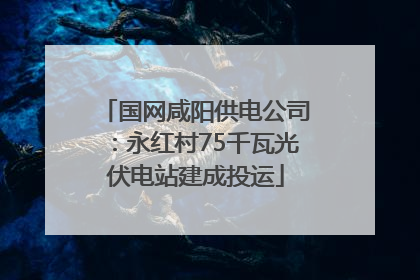 国网咸阳供电公司：永红村75千瓦光伏电站建成投运