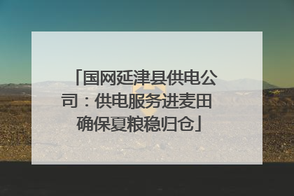 国网延津县供电公司：供电服务进麦田 确保夏粮稳归仓