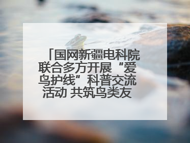 国网新疆电科院联合多方开展“爱鸟护线”科普交流活动 共筑鸟类友好城市