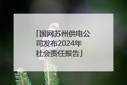 国网苏州供电公司发布2024年社会责任报告