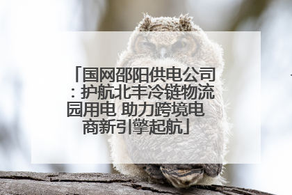 国网邵阳供电公司：护航北丰冷链物流园用电 助力跨境电商新引擎起航