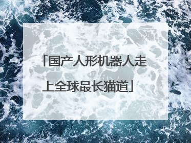 国产人形机器人走上全球最长猫道
