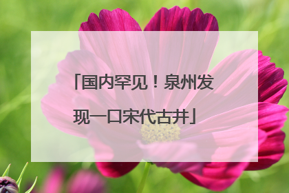 国内罕见！泉州发现一口宋代古井