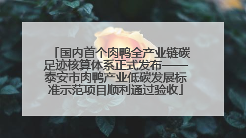 国内首个肉鸭全产业链碳足迹核算体系正式发布——泰安市肉鸭产业低碳发展标准示范项目顺利通过验收