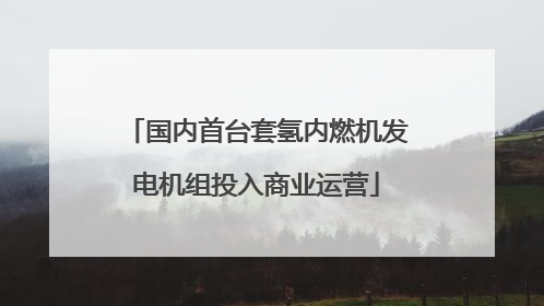 国内首台套氢内燃机发电机组投入商业运营