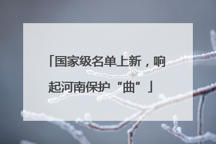 国家级名单上新，响起河南保护“曲”