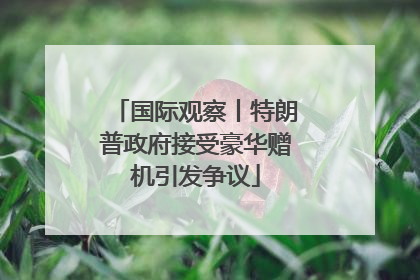 国际观察丨特朗普政府接受豪华赠机引发争议