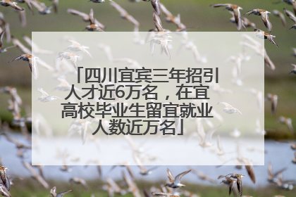 四川宜宾三年招引人才近6万名，在宜高校毕业生留宜就业人数近万名