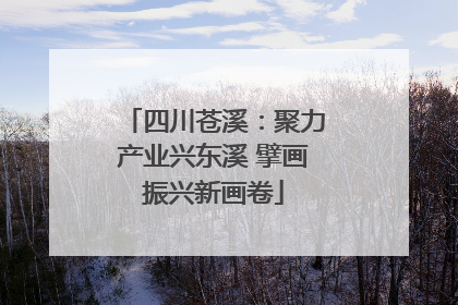 四川苍溪：聚力产业兴东溪 擘画振兴新画卷