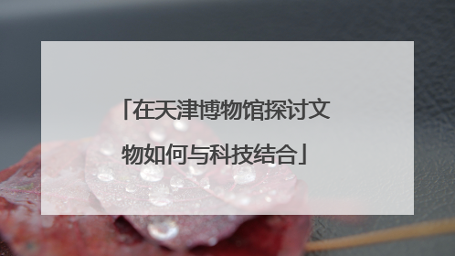 在天津博物馆探讨文物如何与科技结合