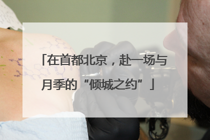 在首都北京，赴一场与月季的“倾城之约”