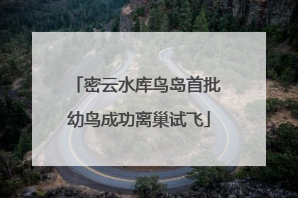 密云水库鸟岛首批幼鸟成功离巢试飞