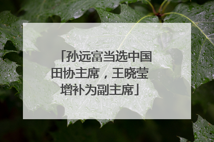 孙远富当选中国田协主席，王晓莹增补为副主席