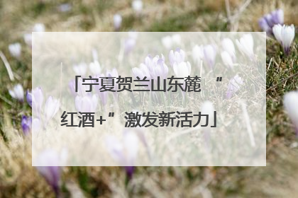 宁夏贺兰山东麓 “红酒+”激发新活力