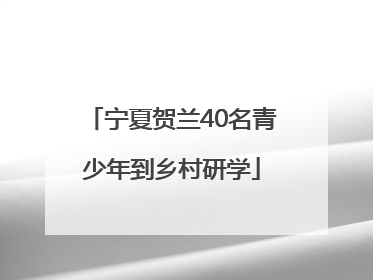 宁夏贺兰40名青少年到乡村研学