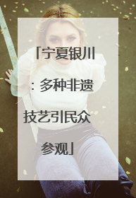 宁夏银川：多种非遗技艺引民众参观