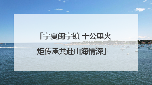宁夏闽宁镇 十公里火炬传承共赴山海情深