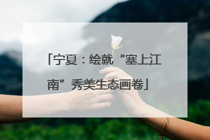 宁夏：绘就“塞上江南”秀美生态画卷