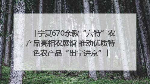 宁夏670余款“六特”农产品亮相农展馆 推动优质特色农产品“出宁进京”