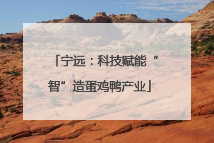 宁远：科技赋能“智”造蛋鸡鸭产业